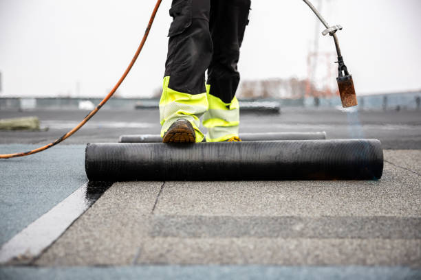 Best Roof Leak Repair  in Hemphill, TX